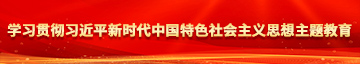 操逼毛片学习贯彻习近平新时代中国特色社会主义思想主题教育